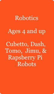 Robotics
Ages 4 and up
Cubetto, Dash, Tomo,  Jimu